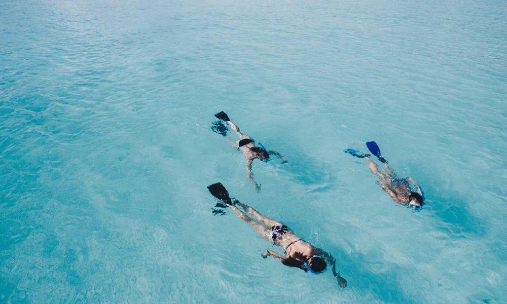 Snorkelling In Maldives