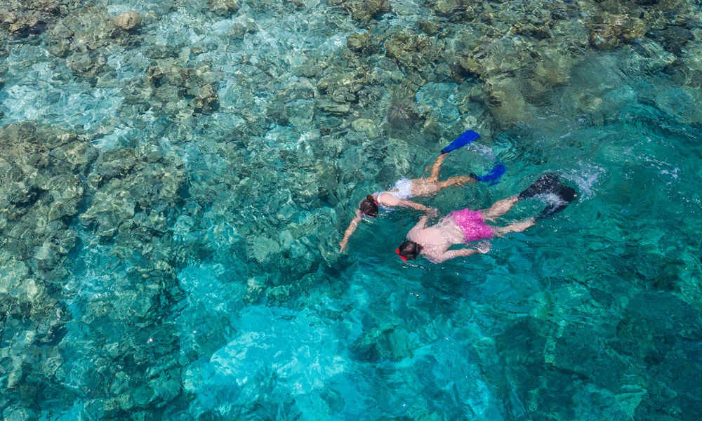 Snorkelling In Maldives