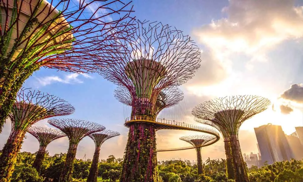 Gardens By The Bay Tickets