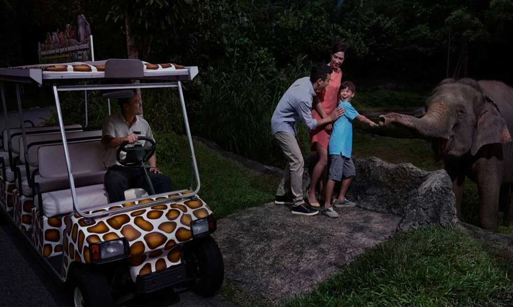 Singapore Night Safari Tickets with Tram Ride
