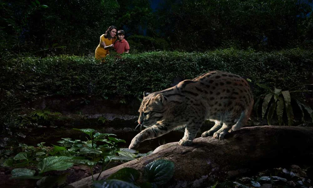 Singapore Night Safari Tickets with Tram Ride