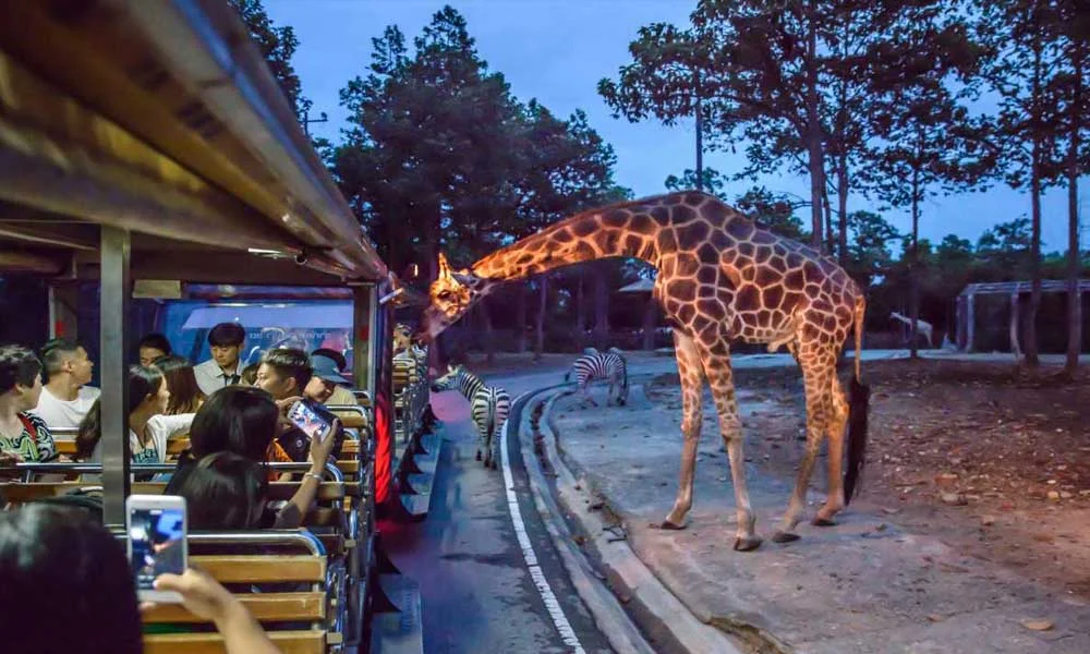 Singapore Night Safari Tickets with Tram Ride