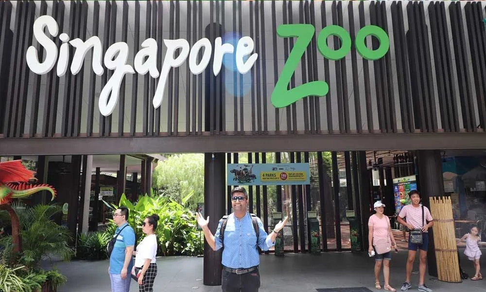 Singapore zoo tickets