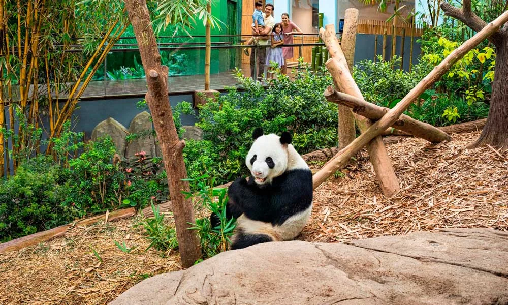 Singapore zoo tickets