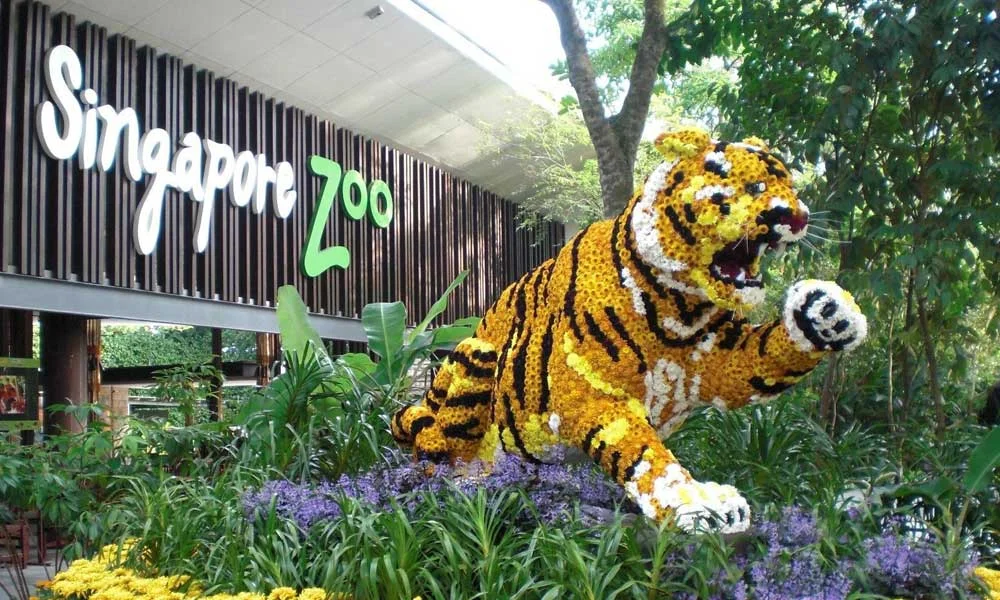 Singapore zoo tickets