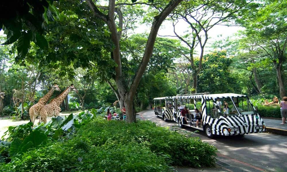 Singapore zoo tickets