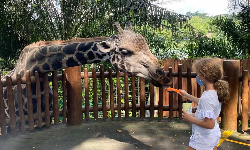 Singapore zoo tickets