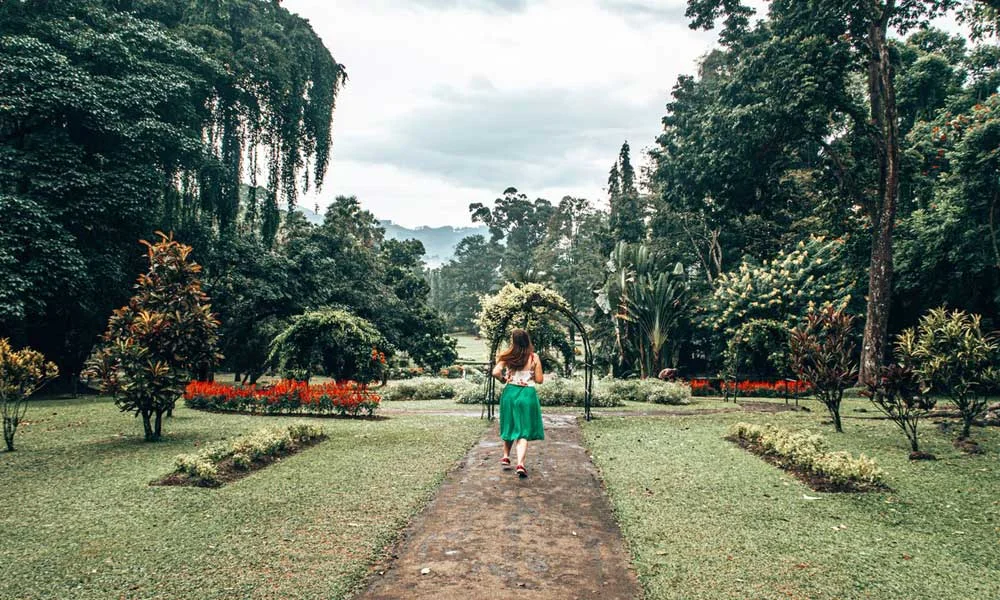 Kandy City Sightseeing Tour