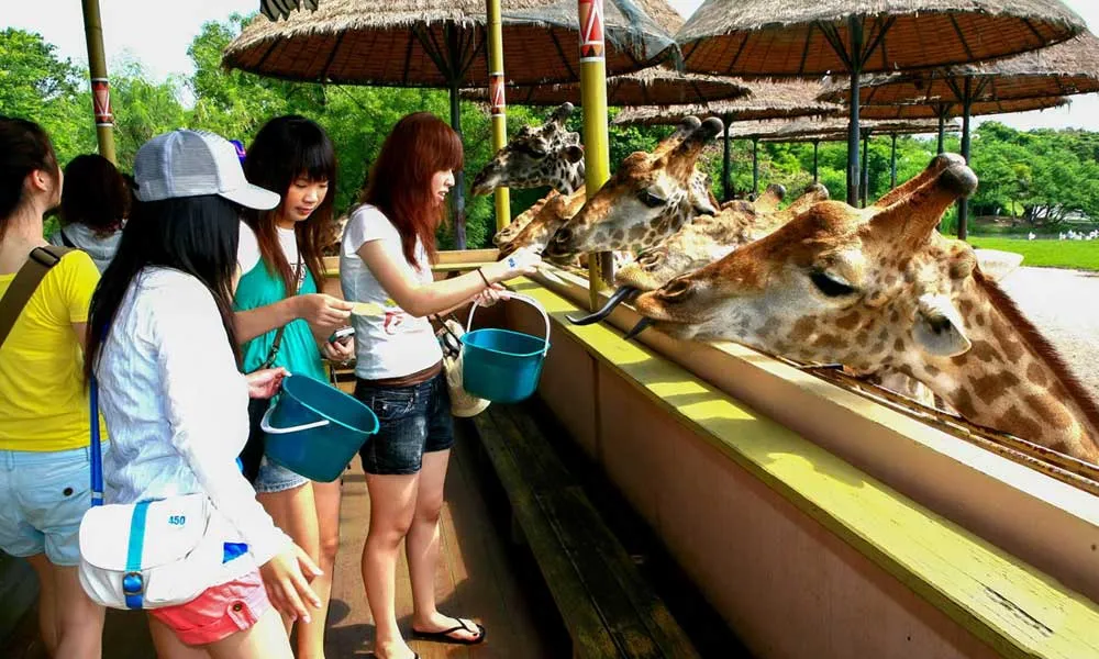 Safari World Tickets, Bangkok