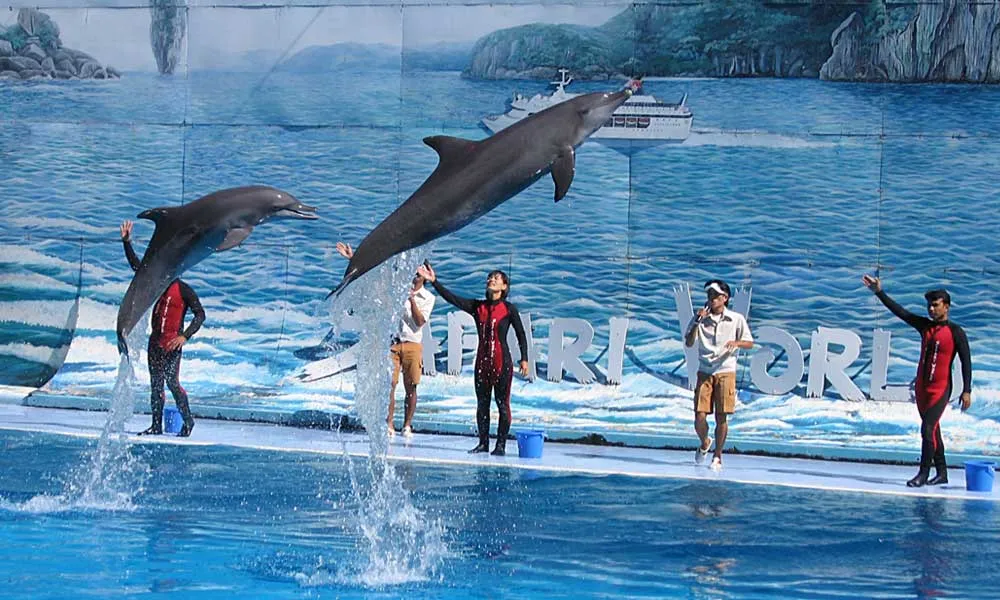 Safari World Tickets, Bangkok