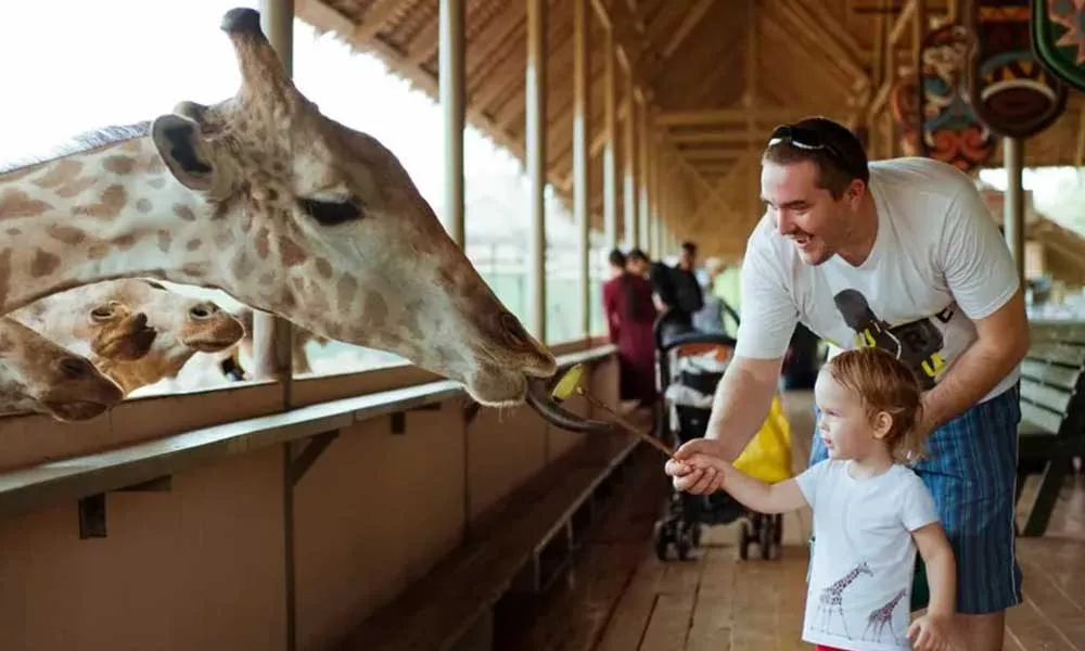Safari World Tickets, Bangkok