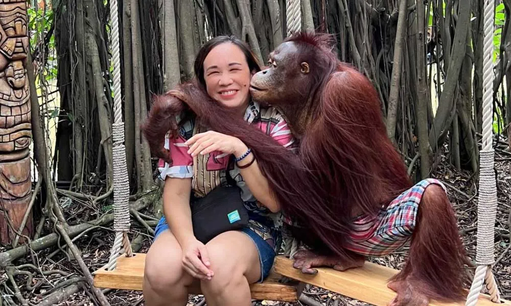 Safari World Tickets, Bangkok