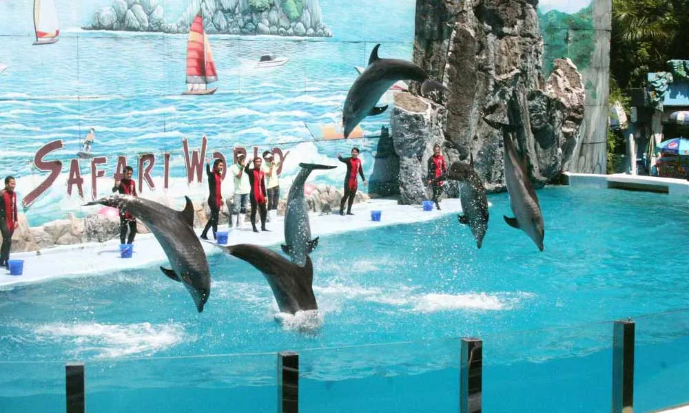Safari World Tickets, Bangkok