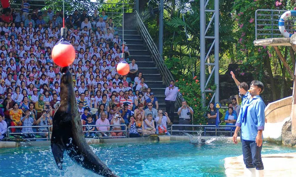 Safari World Tickets, Bangkok