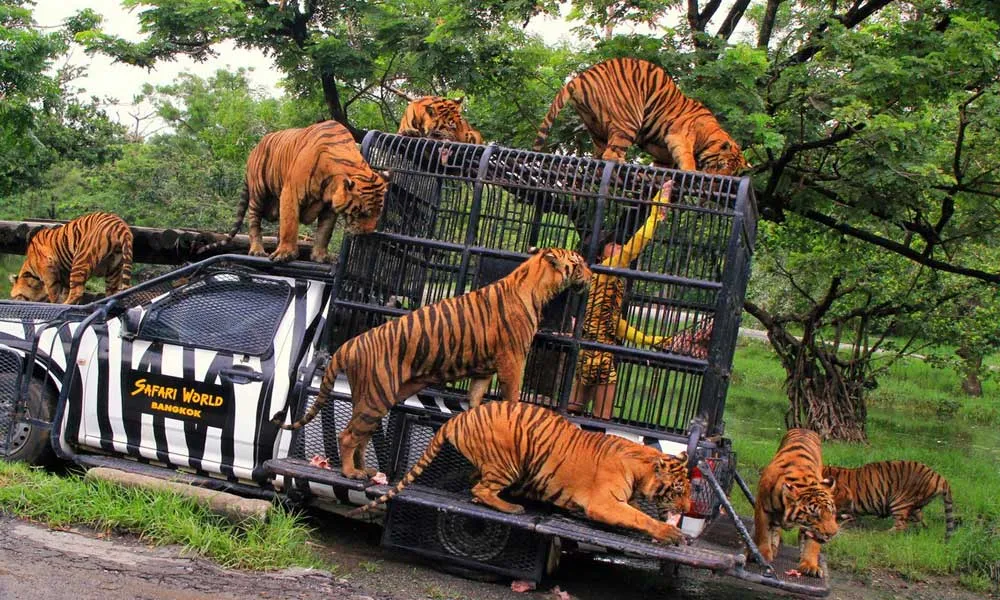 Safari World Tickets, Bangkok