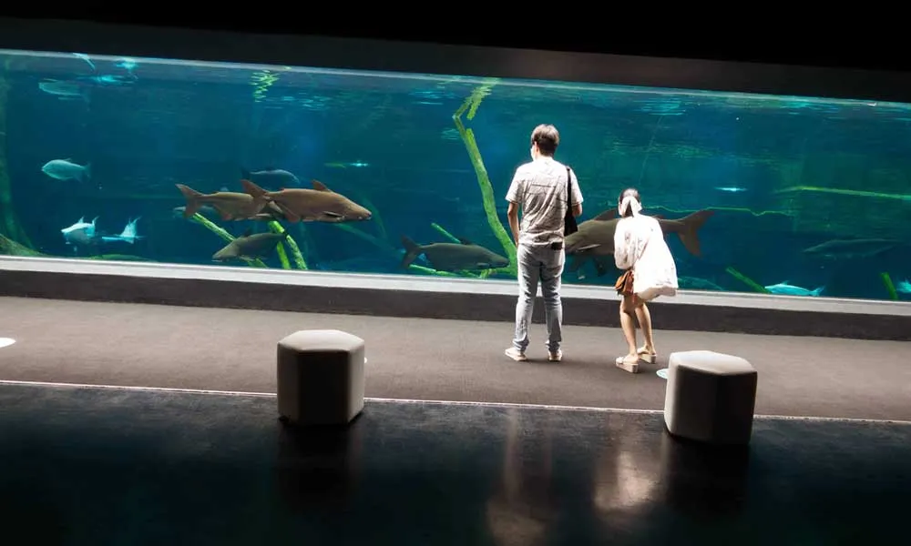 Aquaria Phuket Tickets
