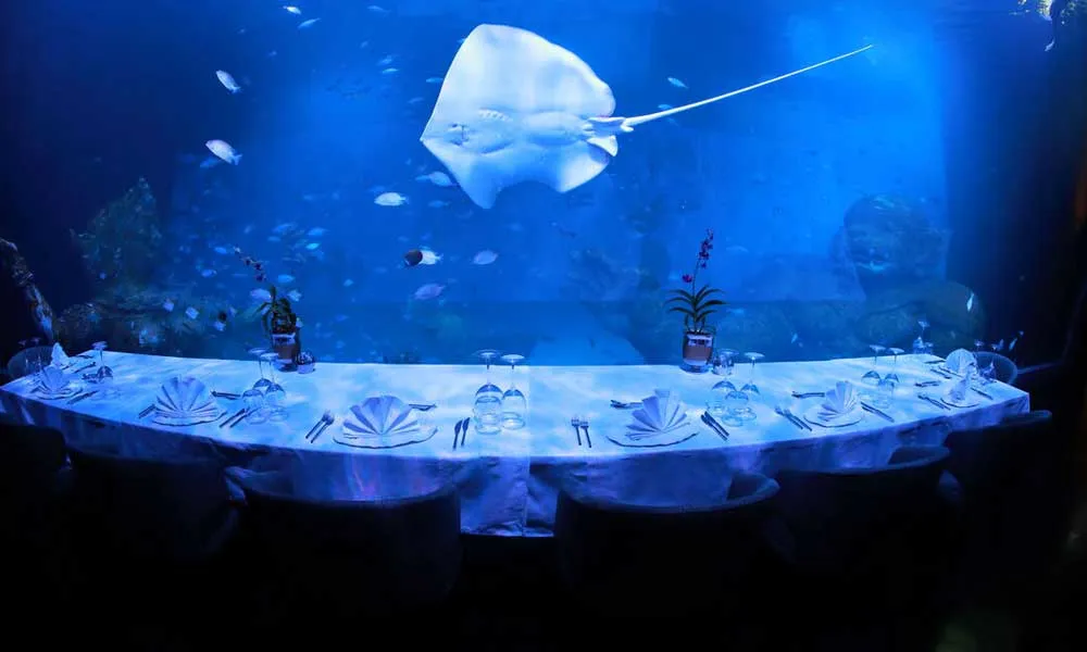 Aquaria Phuket Tickets