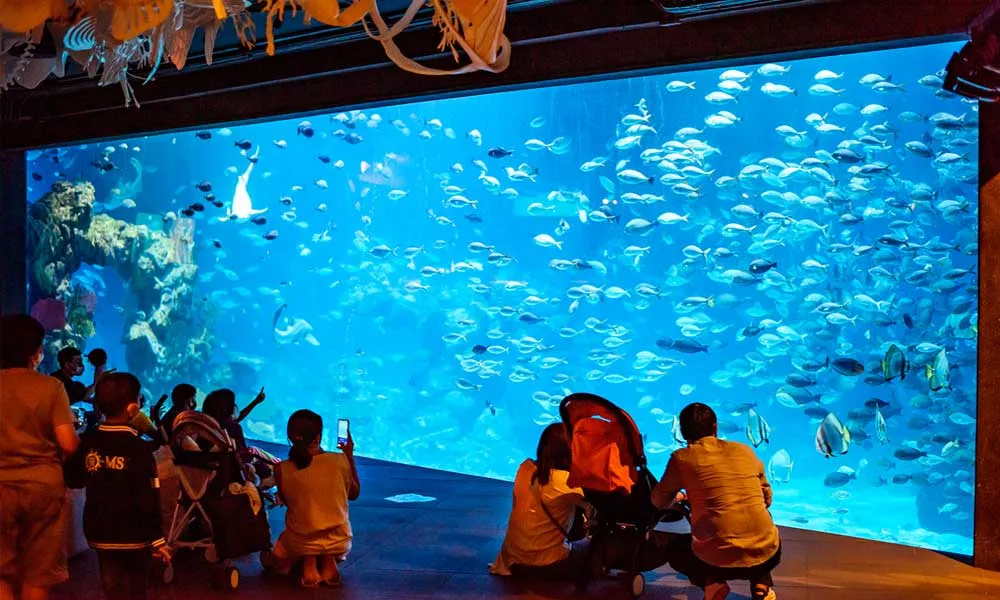 Aquaria Phuket Tickets