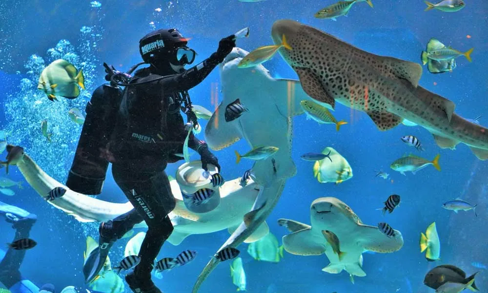Aquaria Phuket Tickets