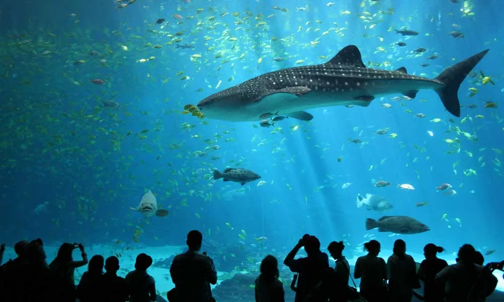 Aquaria Phuket Tickets