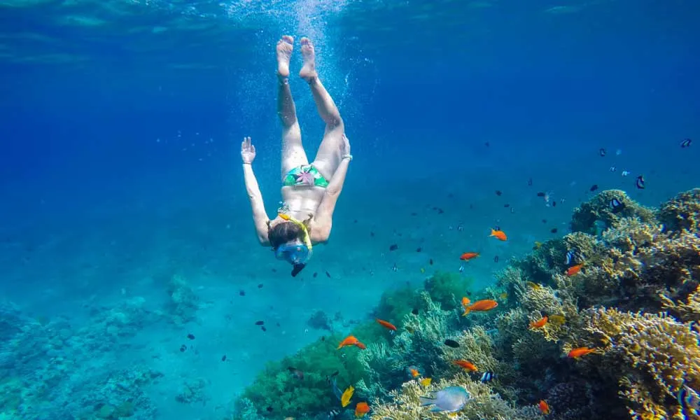 Snorkelling In Clear Waters Of Aqaba, Jordan