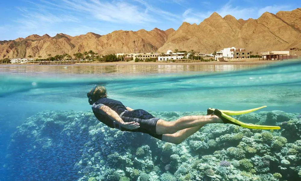 Snorkelling In Clear Waters Of Aqaba, Jordan