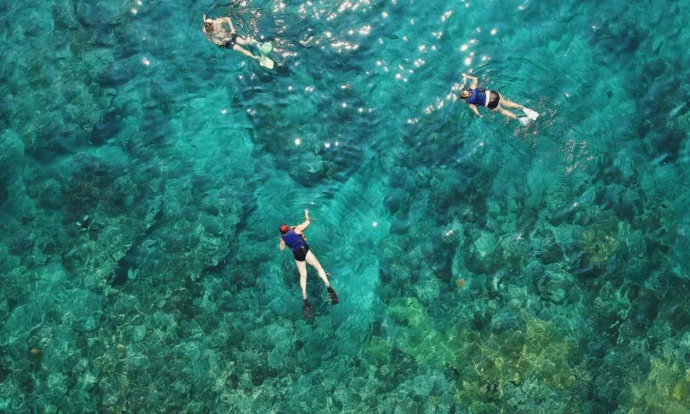 Snorkelling In Clear Waters Of Aqaba, Jordan