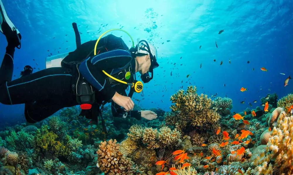 Snorkelling In Clear Waters Of Aqaba, Jordan