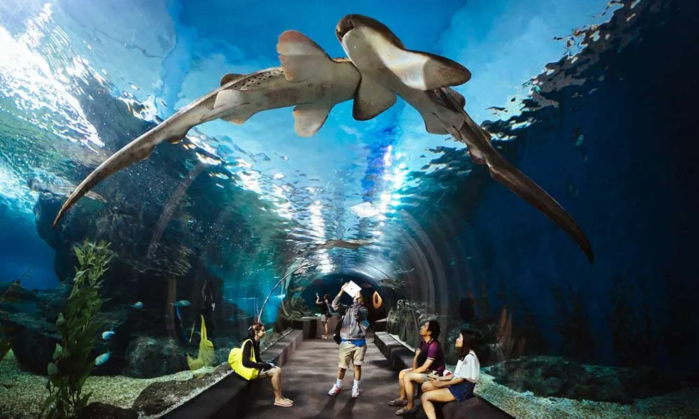 SEA LIFE Ocean World, Bangkok