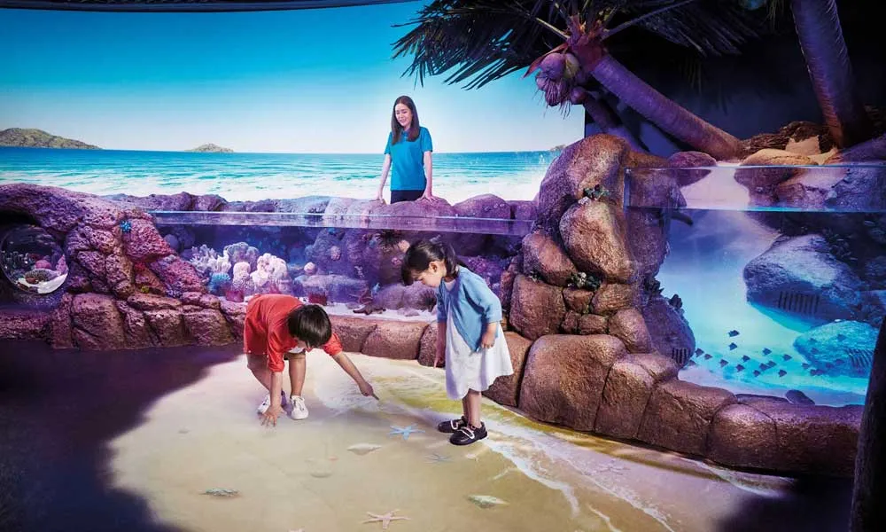 SEA LIFE Ocean World, Bangkok