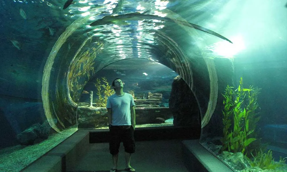 SEA LIFE Ocean World, Bangkok