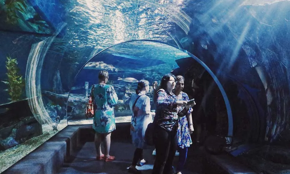 SEA LIFE Ocean World, Bangkok