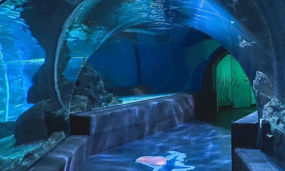 SEA LIFE Ocean World, Bangkok