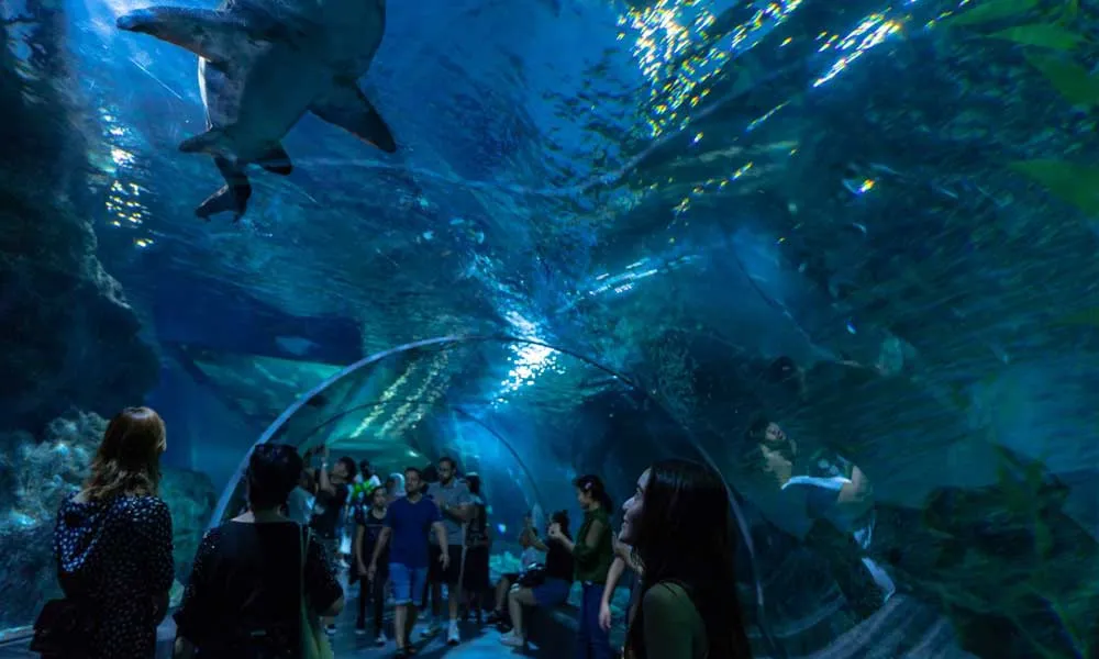 SEA LIFE Ocean World, Bangkok