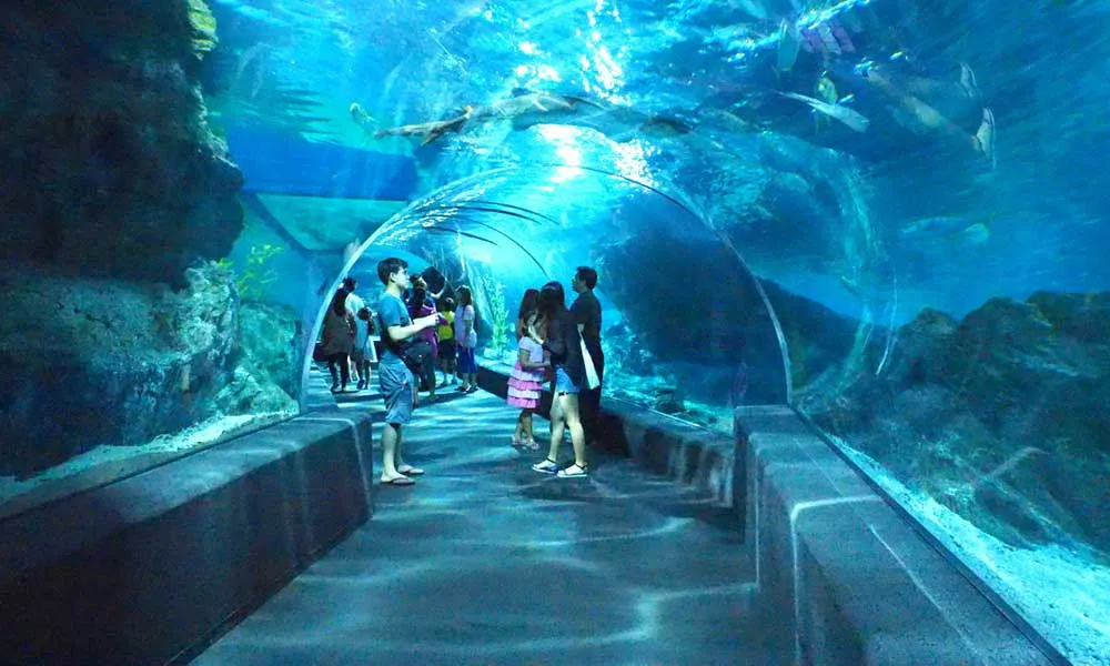 SEA LIFE Ocean World, Bangkok