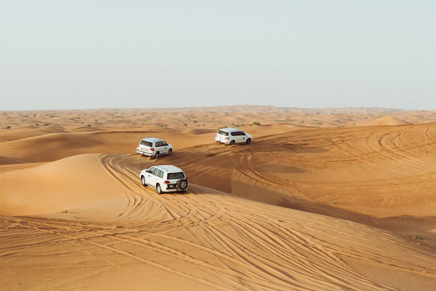 Desert Safari with Shared Transfers