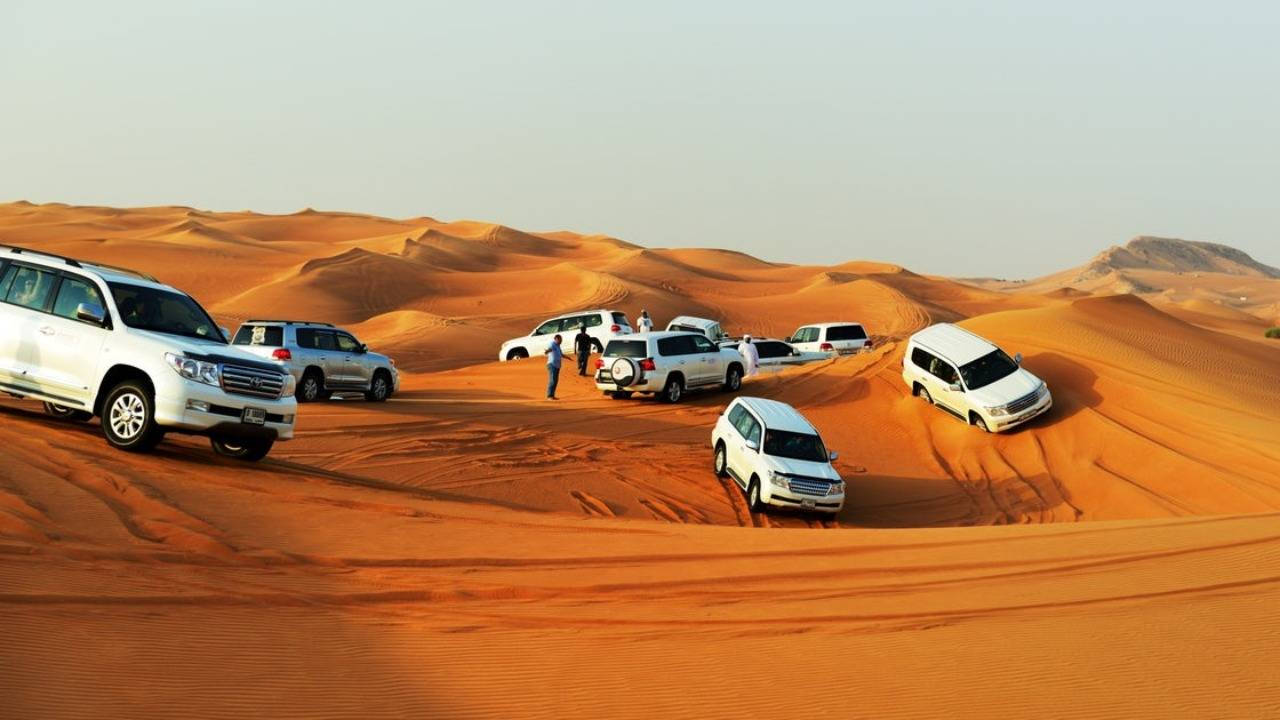 Desert Safari with Shared Transfers