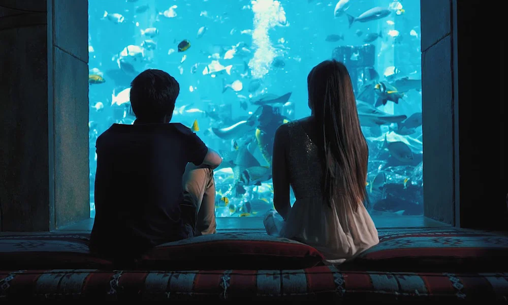 The Lost Chambers Aquarium Entry Tickets