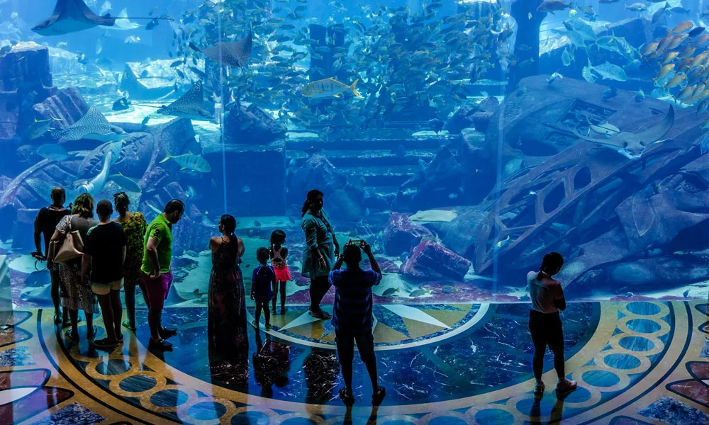 The Lost Chambers Aquarium Entry Tickets