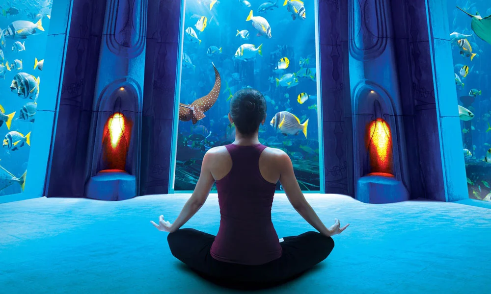 Combo Tickets for Aquaventure and Lost Chambers