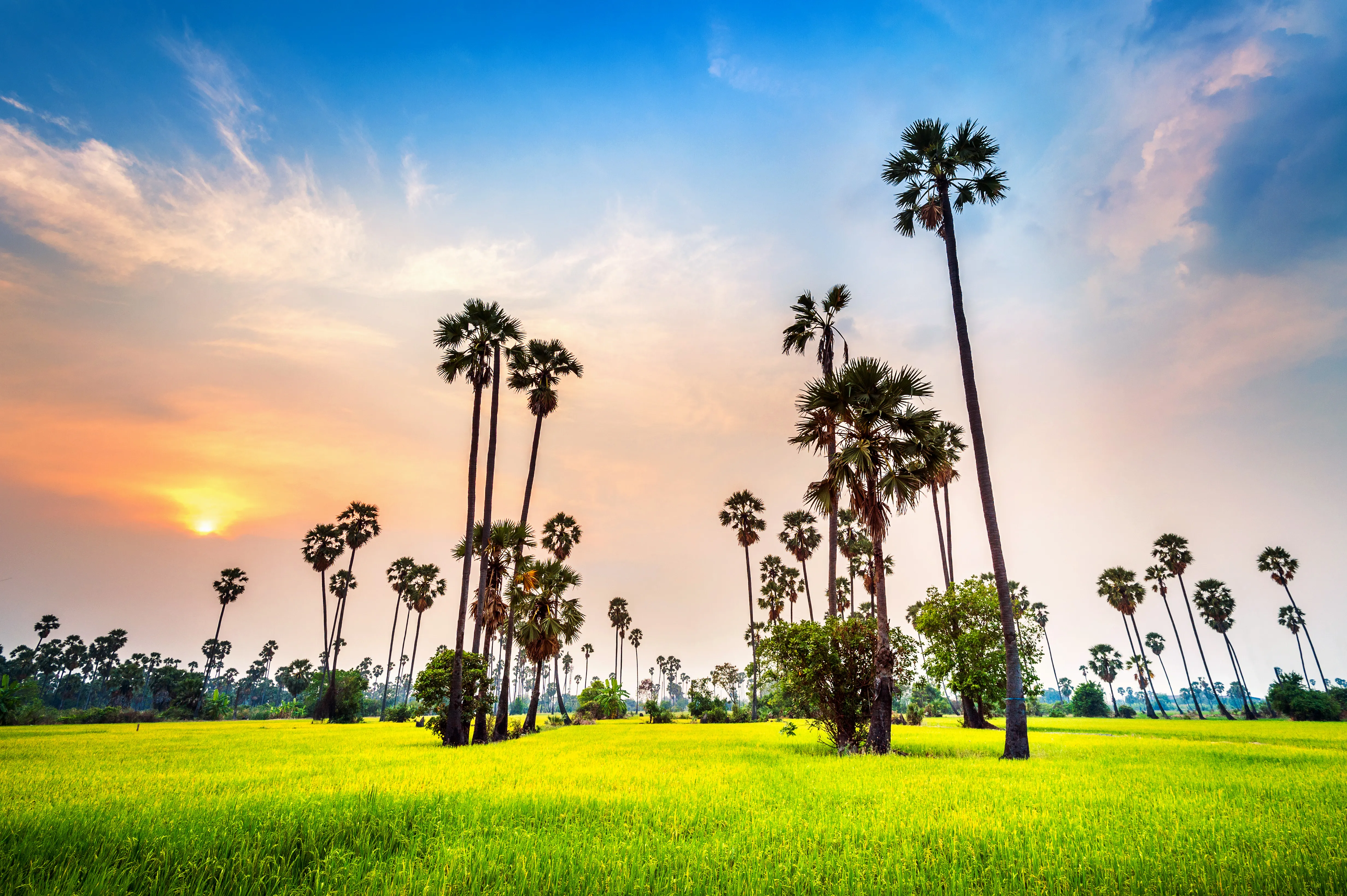 Places To Visit in Kerala