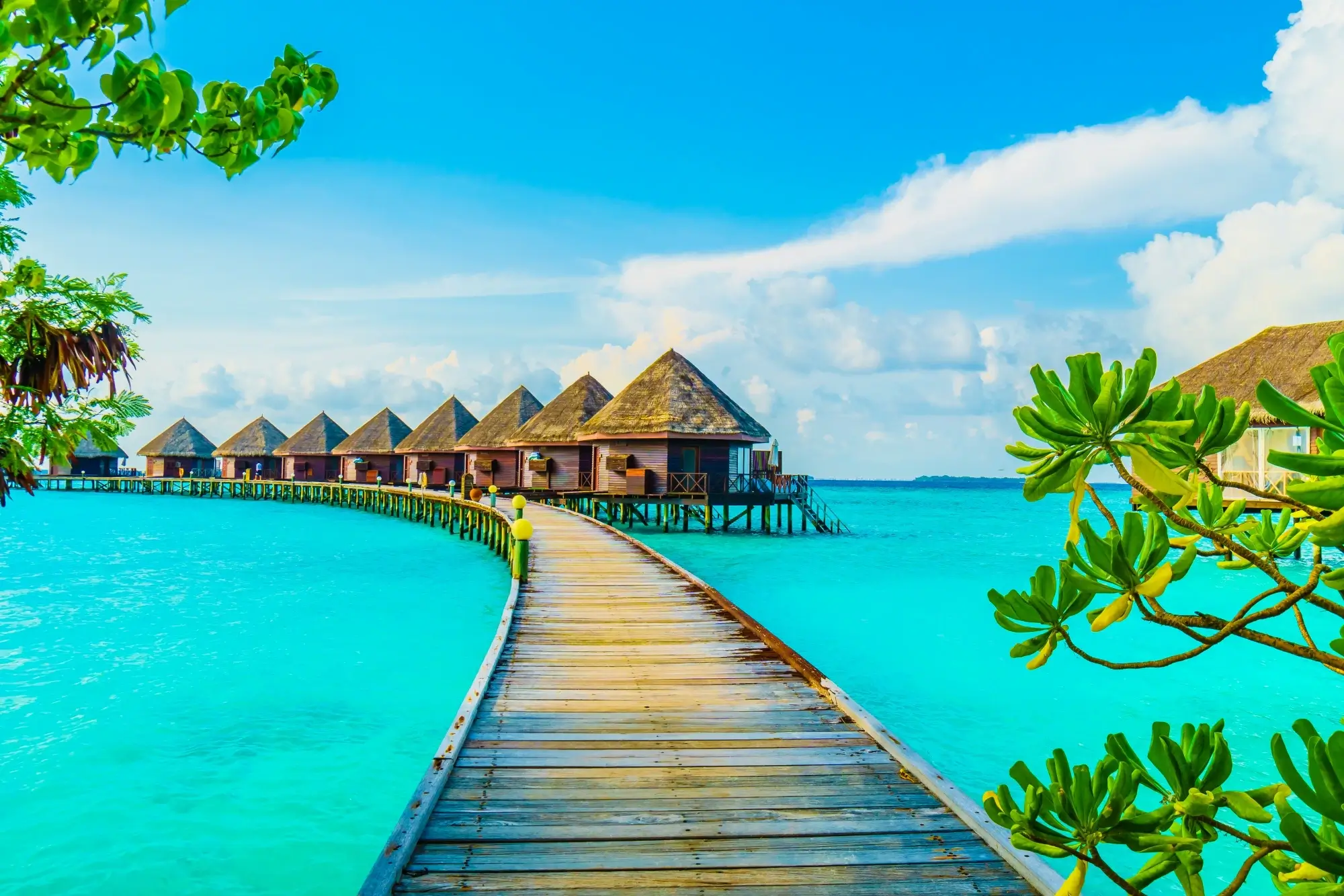 maldives tour pacakages