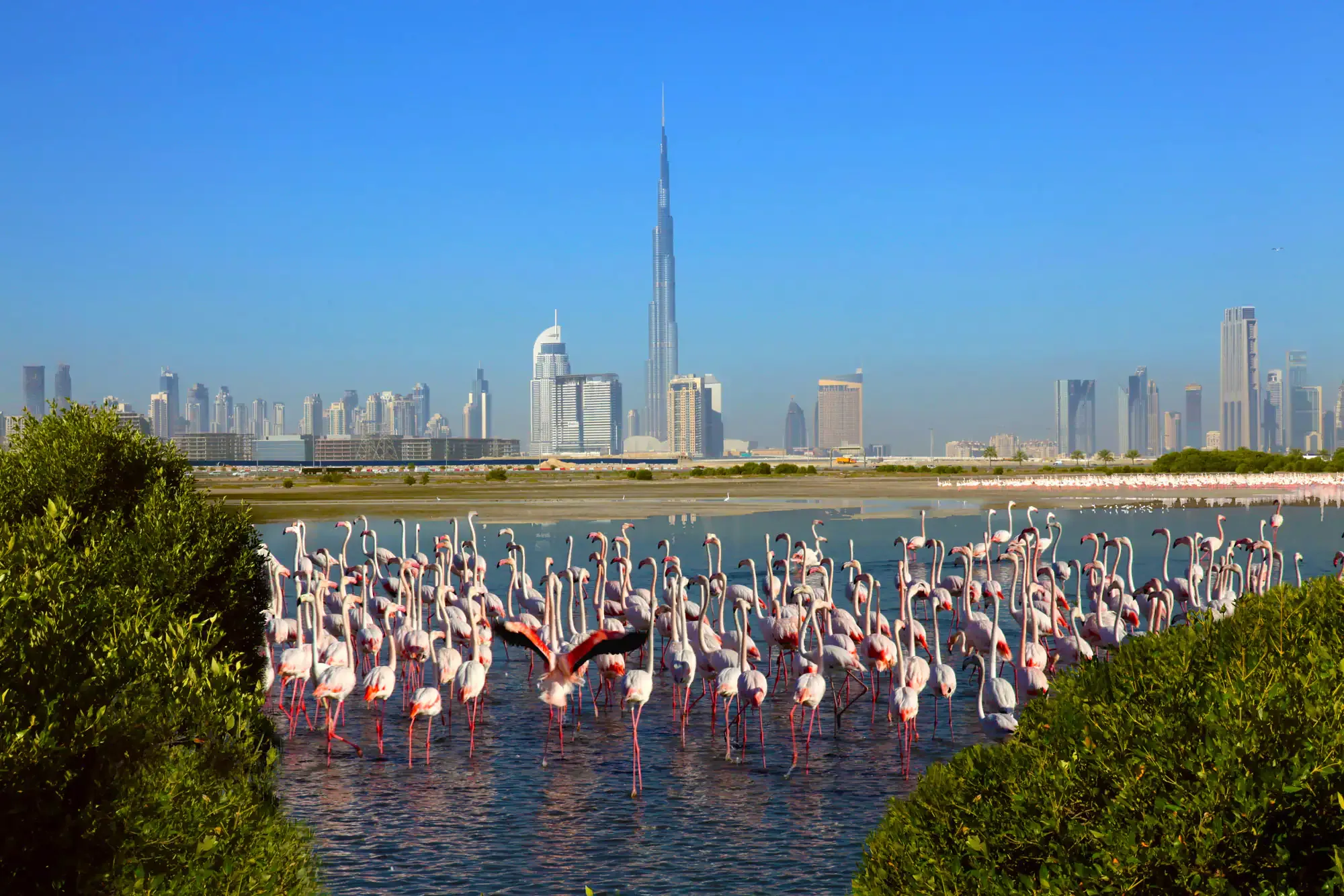 Dubai Tour Packages from Varanasi