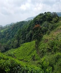 sri lanka tour packages from madurai