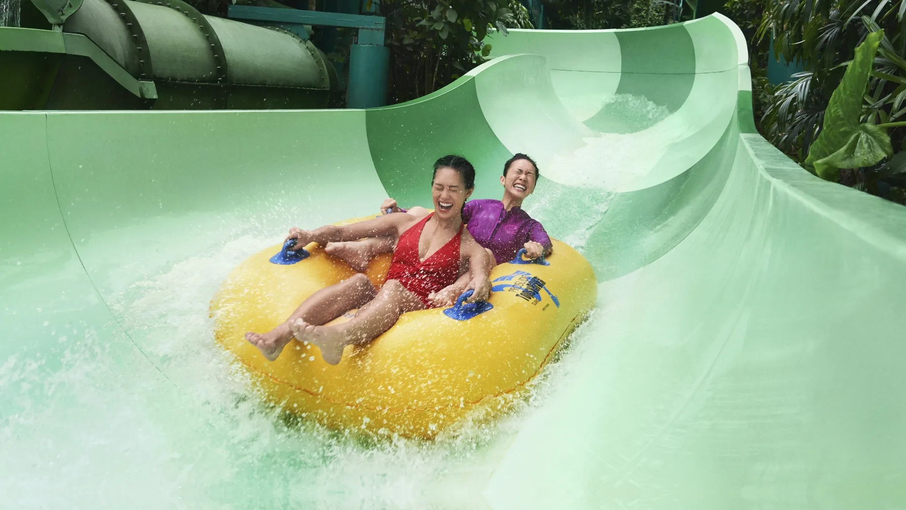 Adventure Cove Waterpark