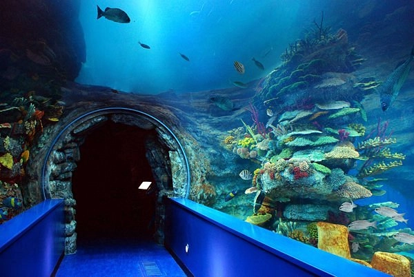 Sharjah Aquarium