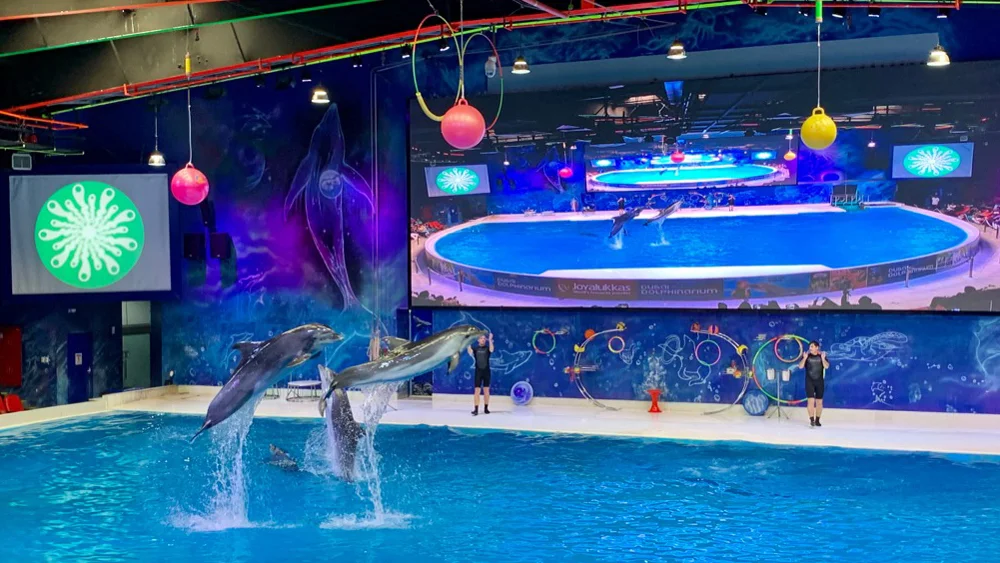 Dubai Dolphinarium