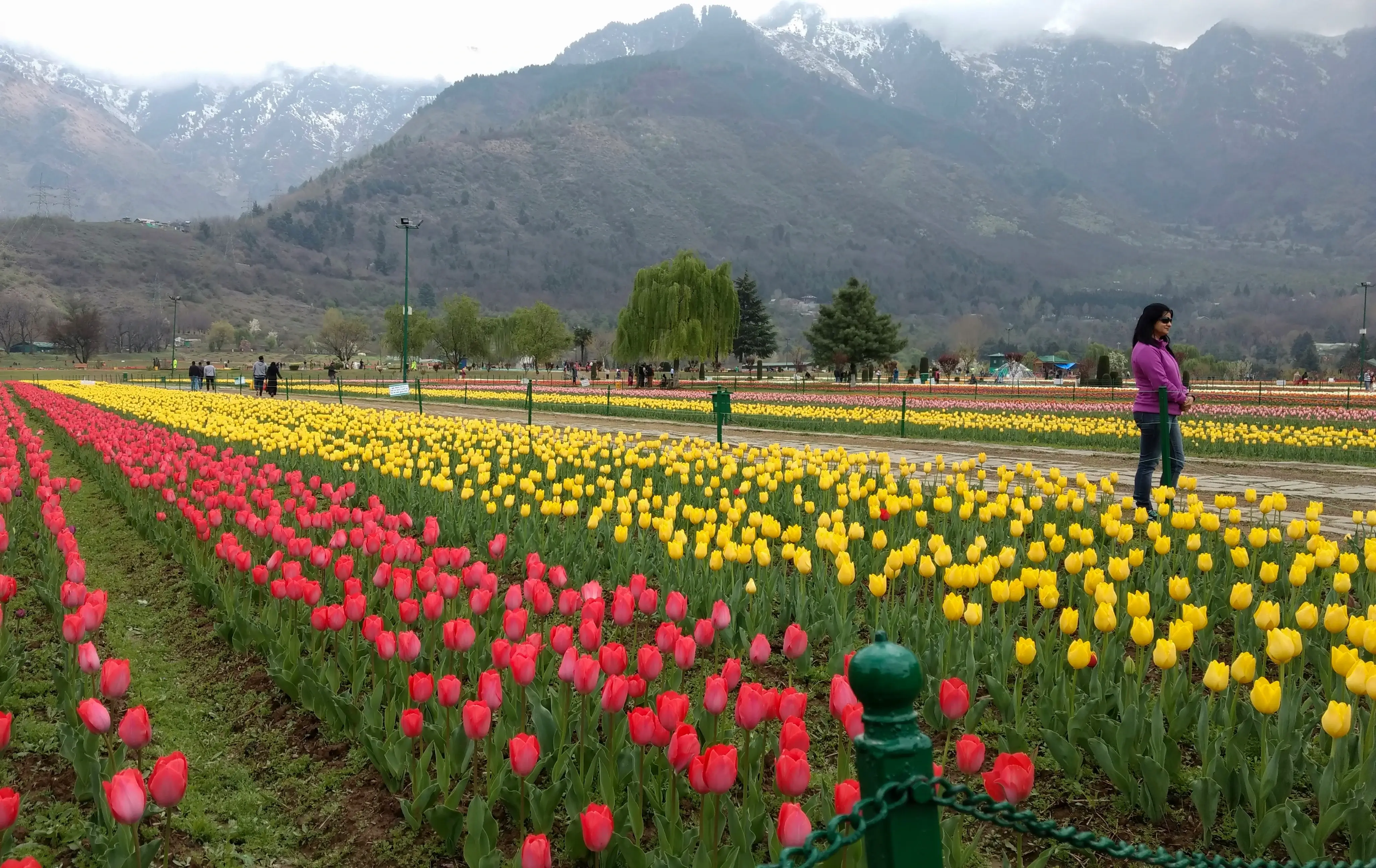 Indira Gandhi Memorial Tulip Garden