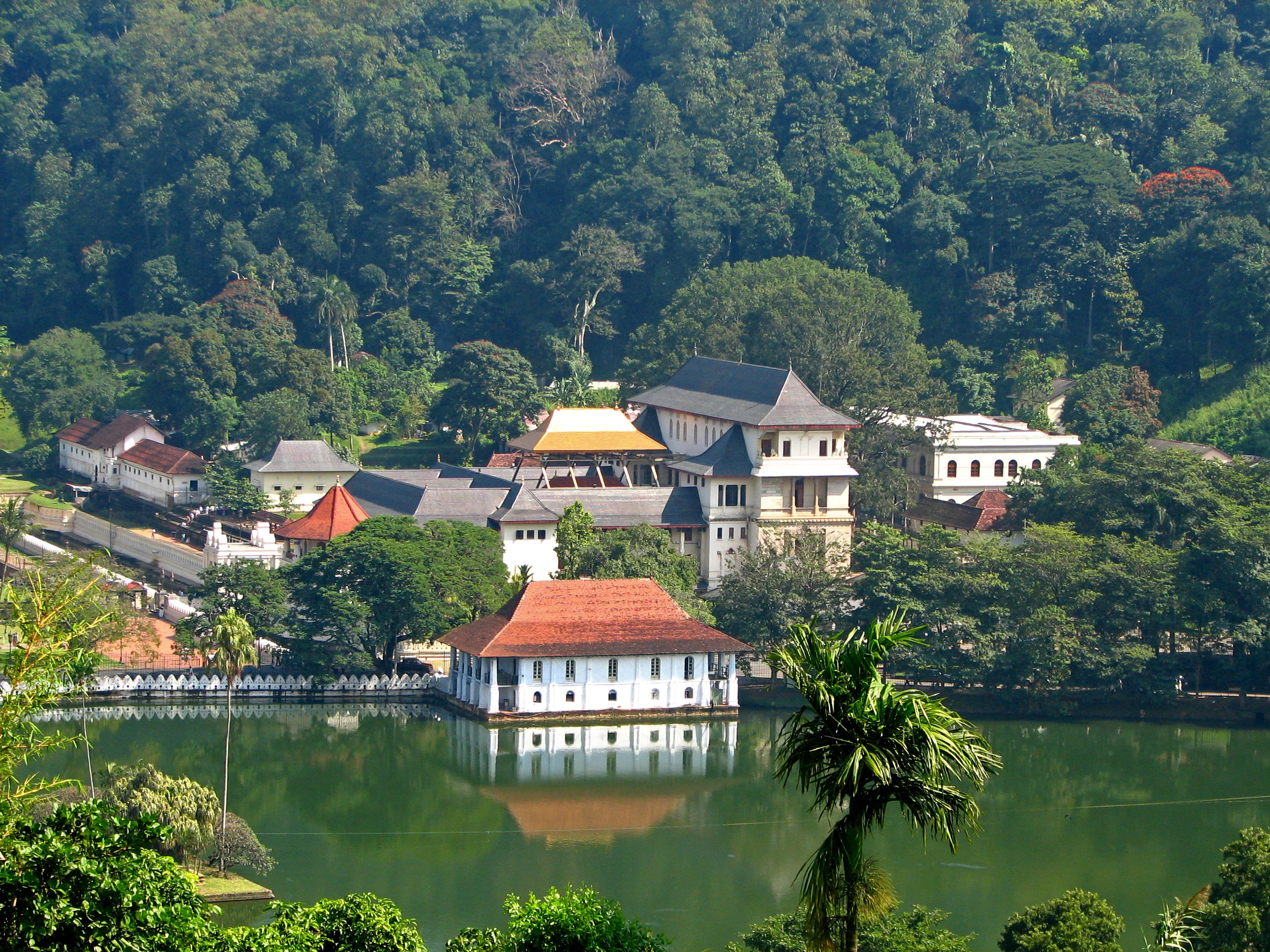 Udawatta Kele Sanctuary