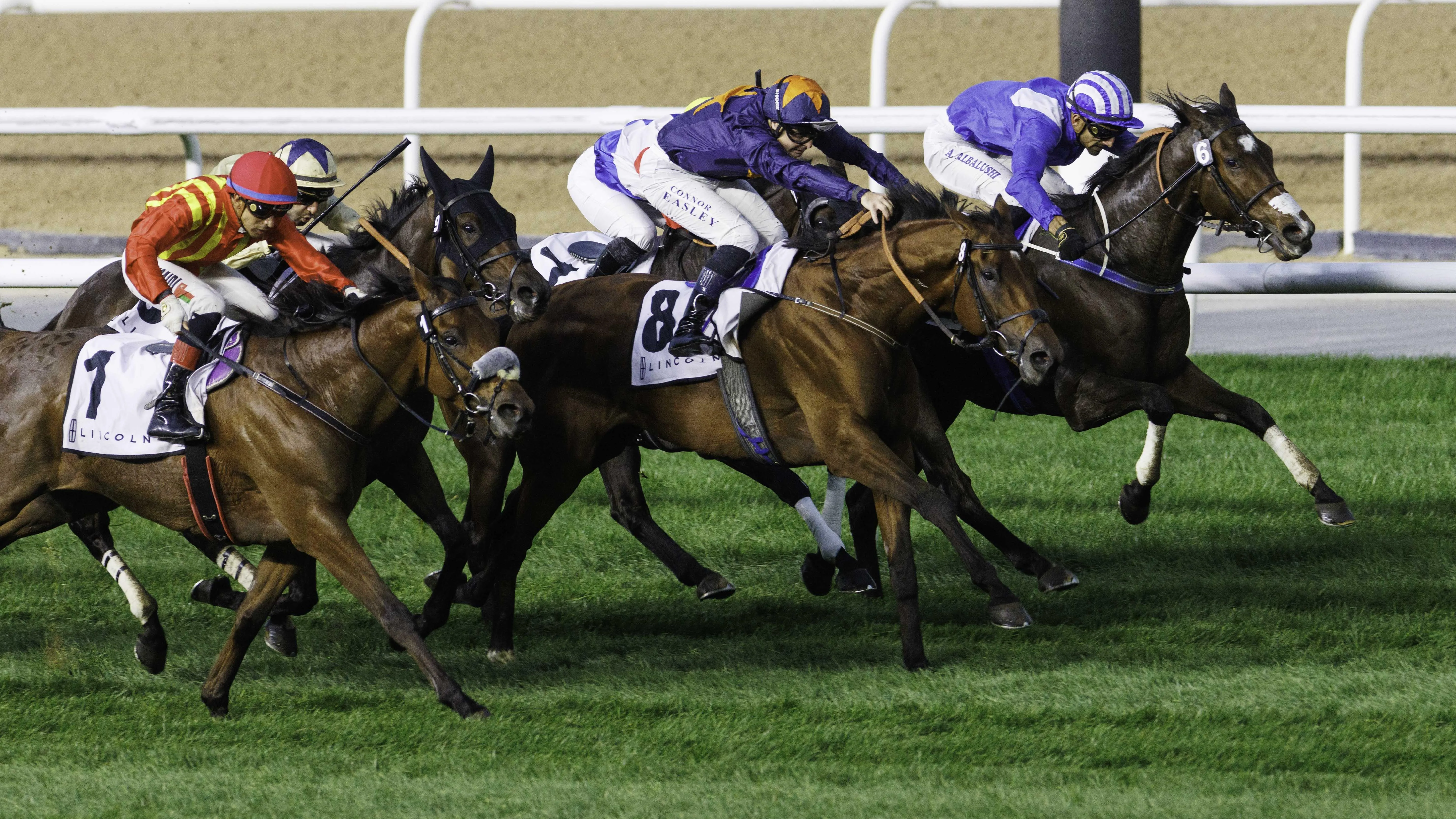 Meydan Racecourse
